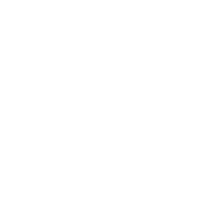 Execution-Focused Advisory