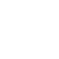 Problem-Solving Capital Approach